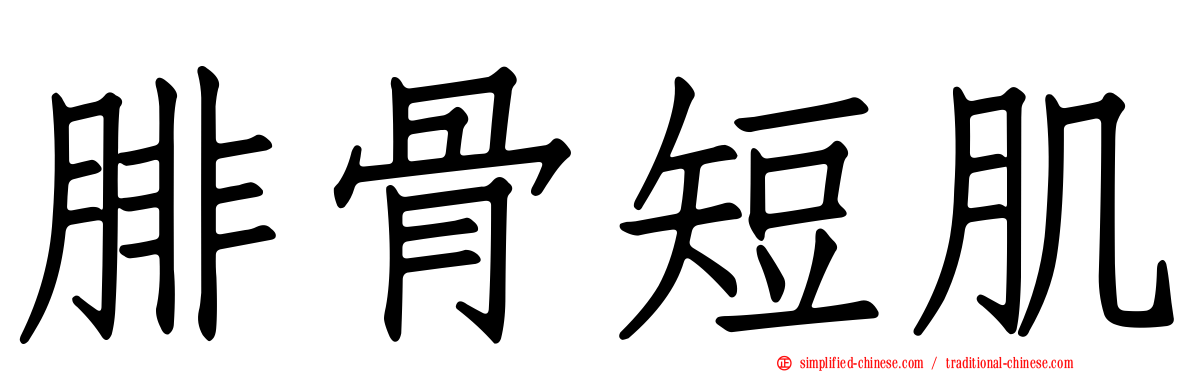 腓骨短肌