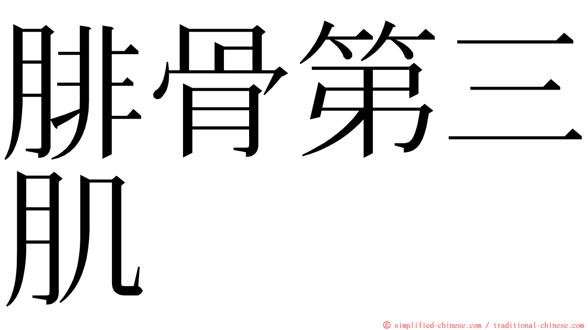 腓骨第三肌 ming font