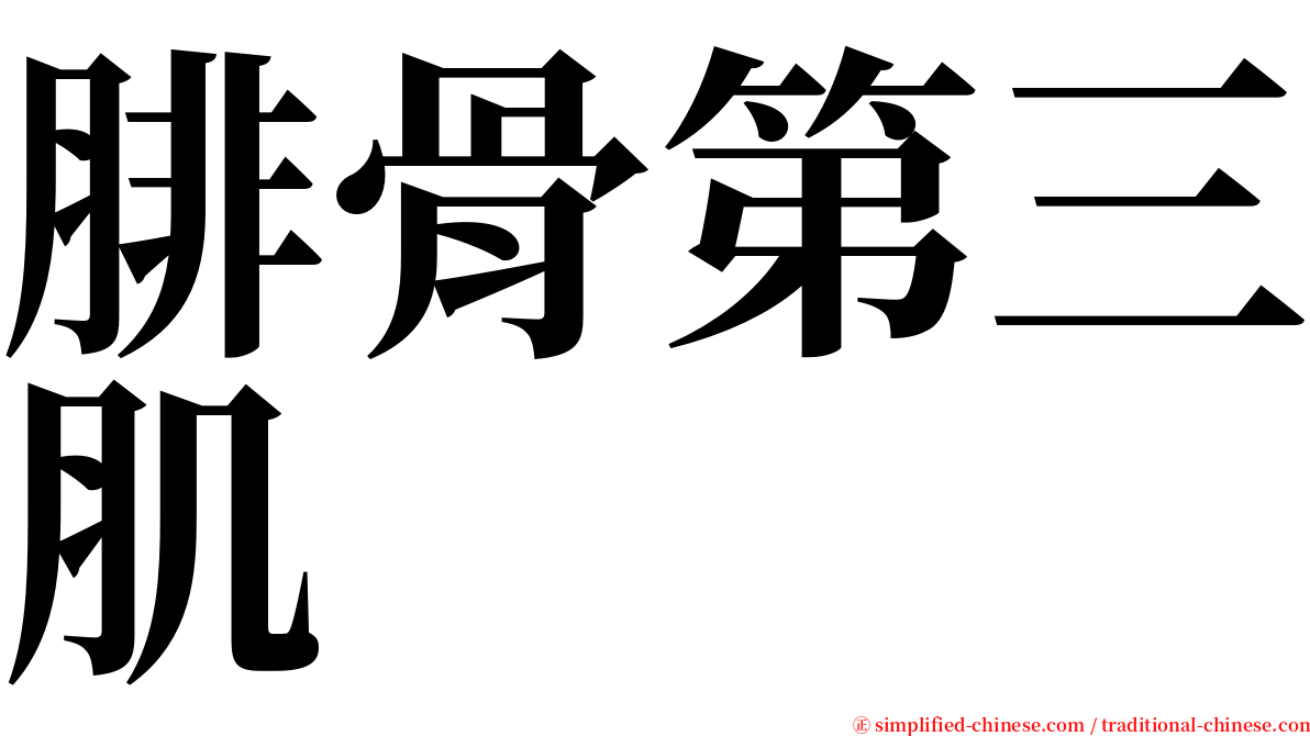 腓骨第三肌 serif font