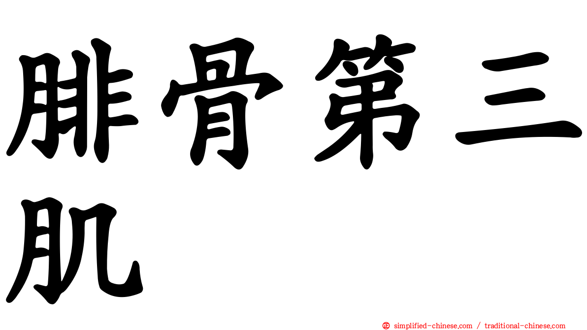 腓骨第三肌
