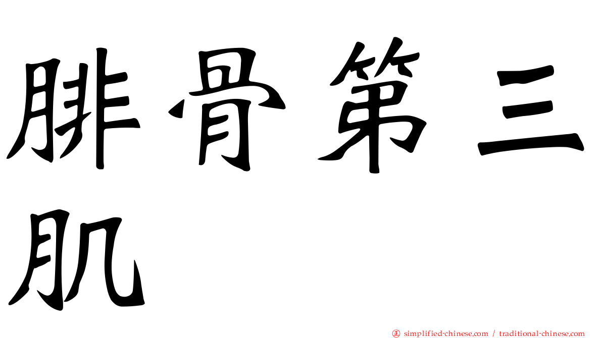 腓骨第三肌