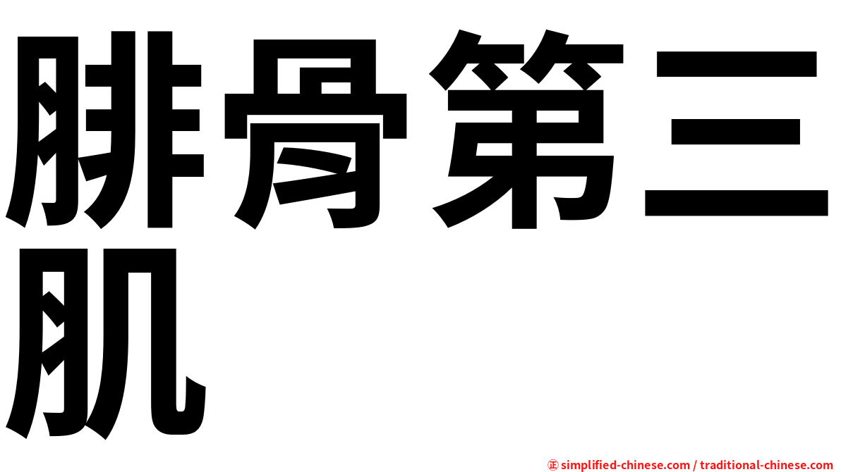 腓骨第三肌