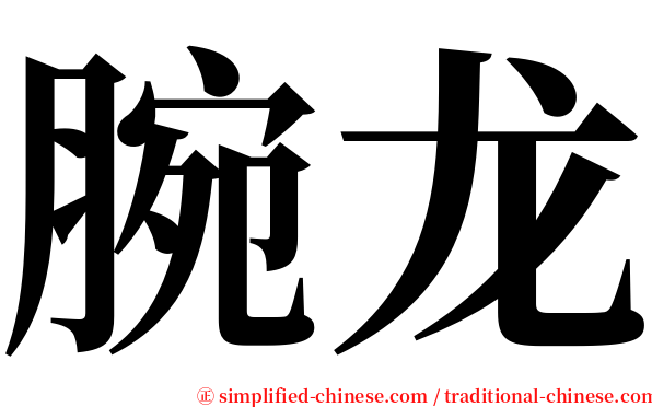 腕龙 serif font