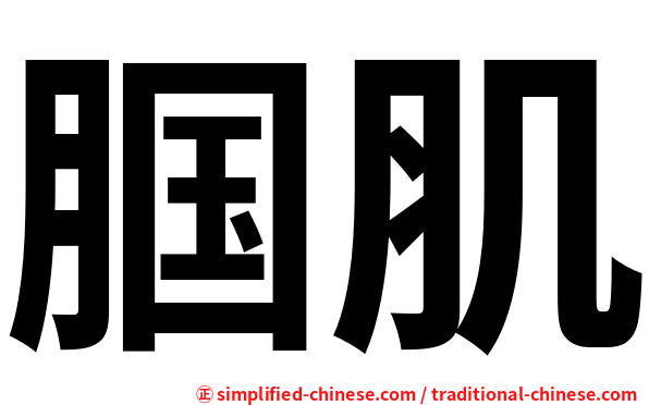 腘肌