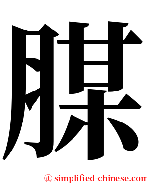 腜 serif font