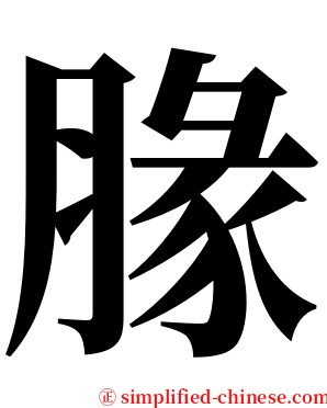 腞 serif font