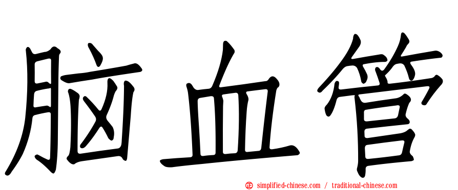 脑血管