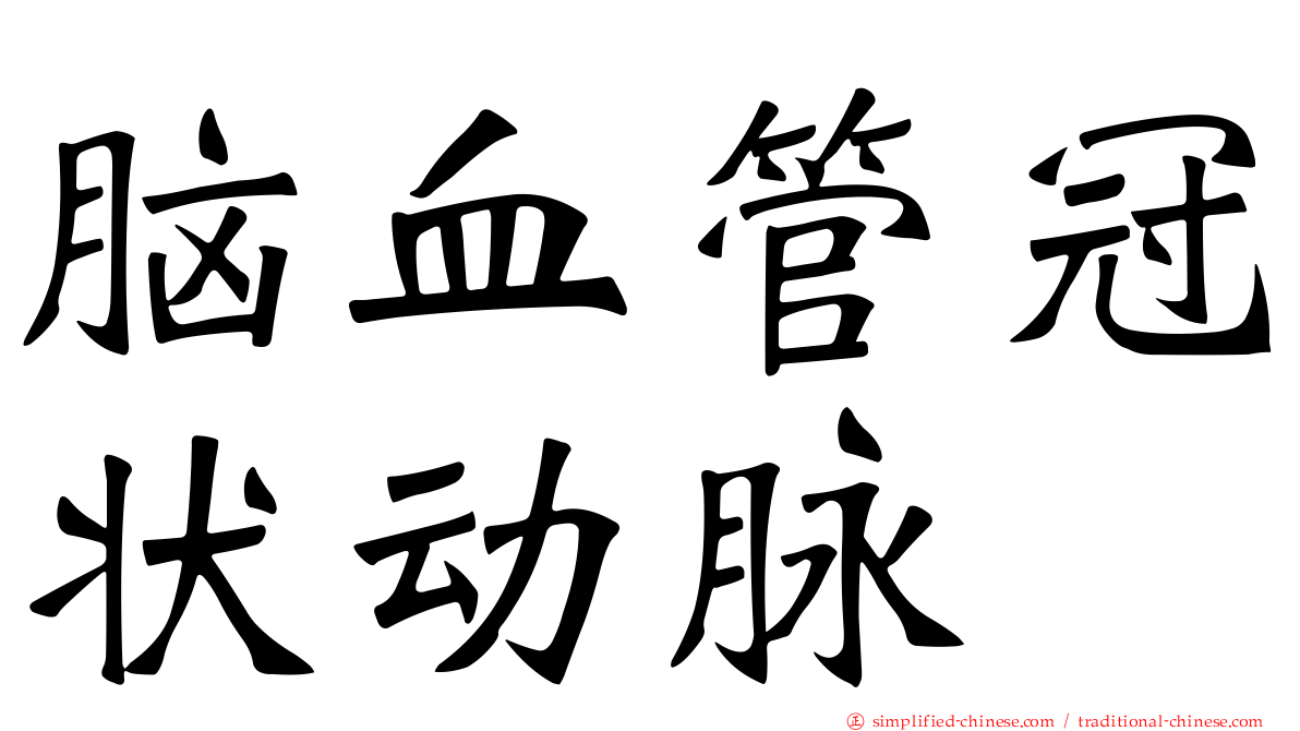 脑血管冠状动脉