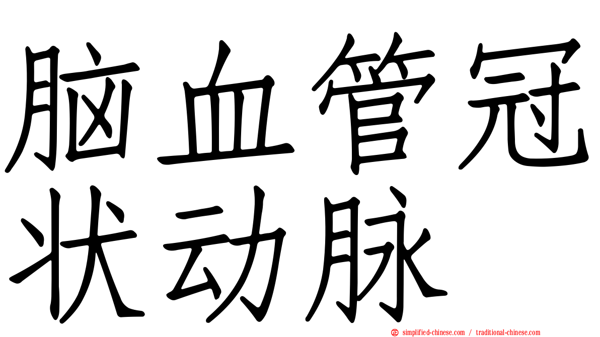 脑血管冠状动脉