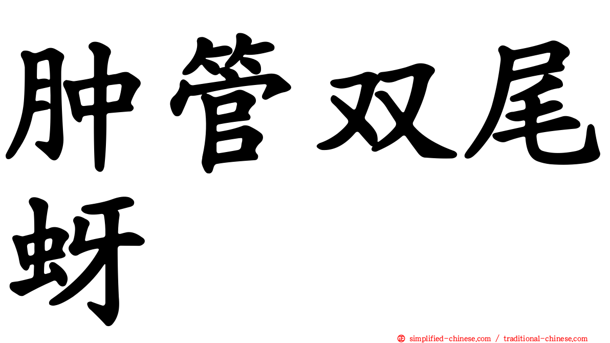 肿管双尾蚜