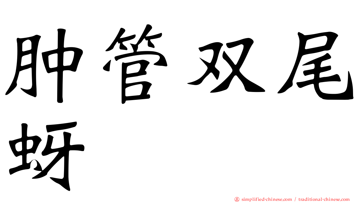 肿管双尾蚜