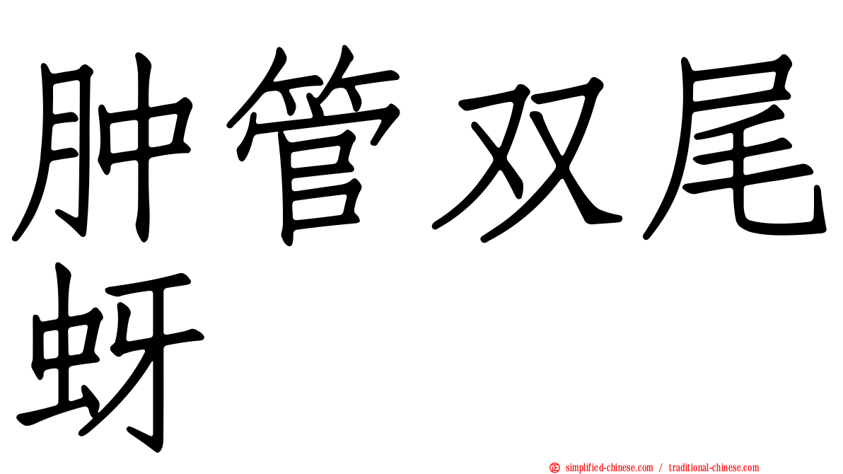 肿管双尾蚜