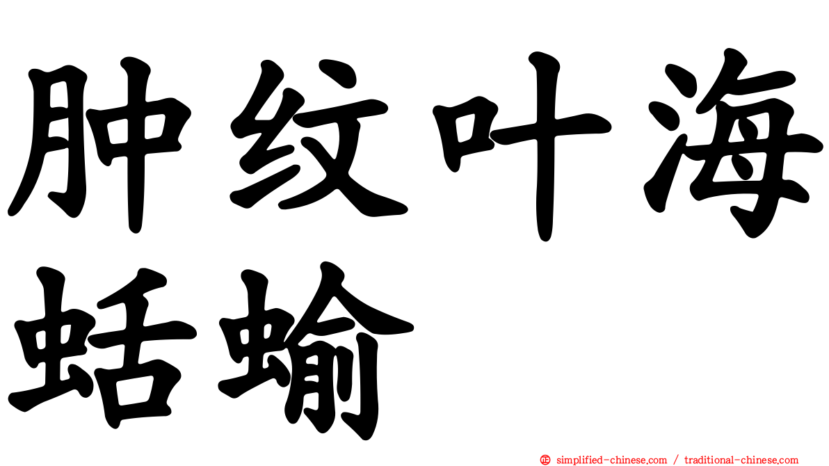 肿纹叶海蛞蝓