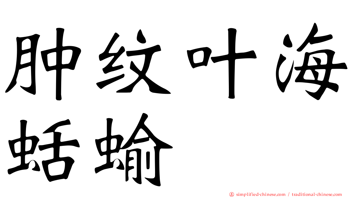 肿纹叶海蛞蝓