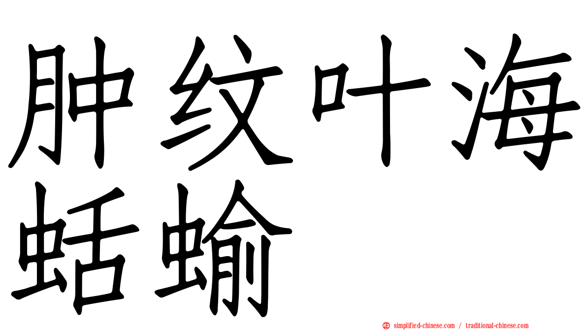 肿纹叶海蛞蝓