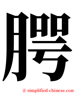 腭 serif font