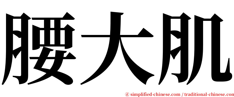 腰大肌 serif font