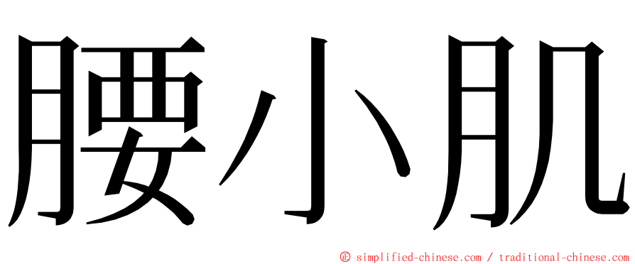 腰小肌 ming font