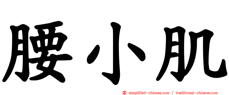 腰小肌
