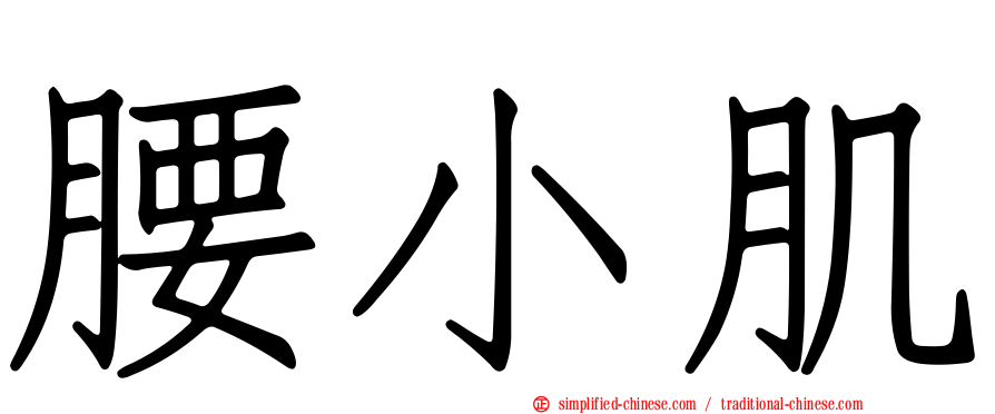 腰小肌