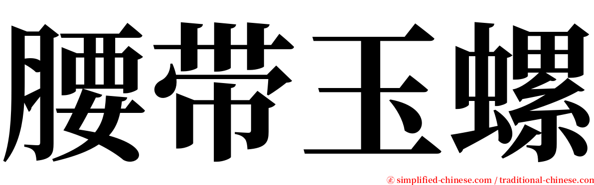 腰带玉螺 serif font