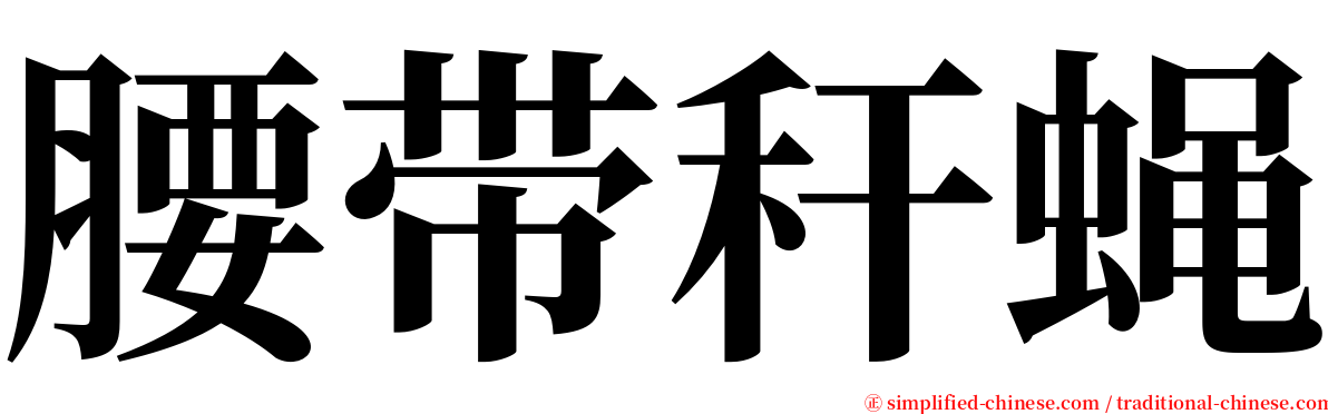 腰带秆蝇 serif font