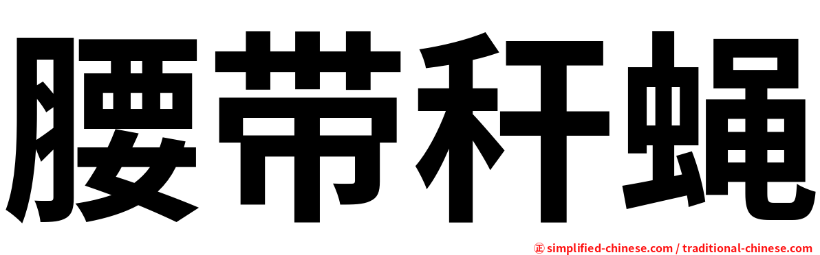 腰带秆蝇
