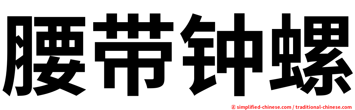 腰带钟螺