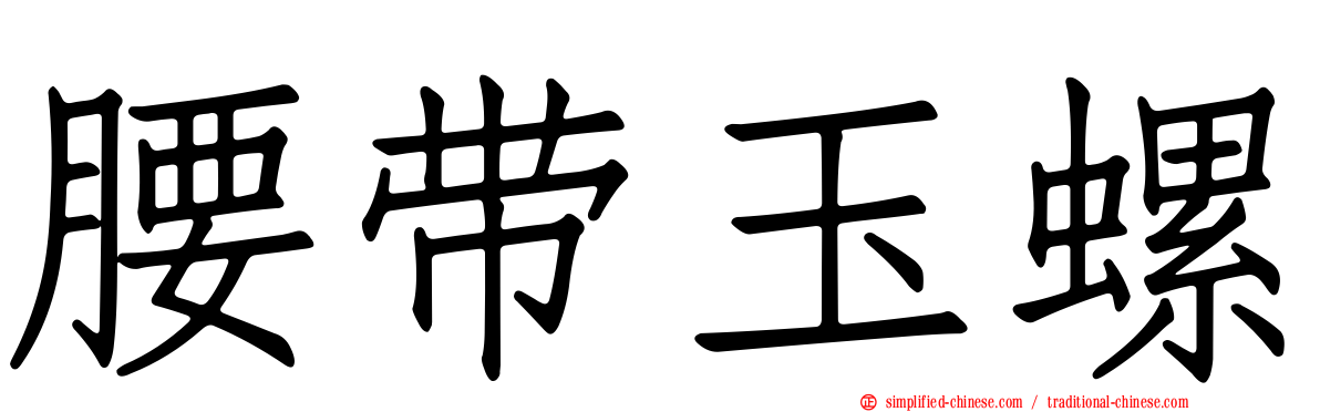 腰带玉螺