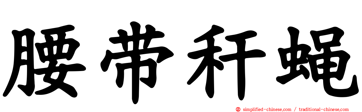 腰带秆蝇