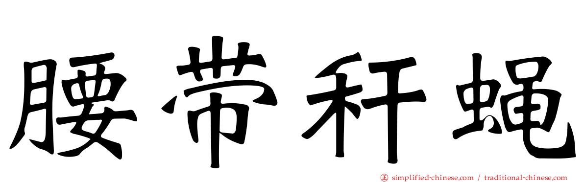 腰带秆蝇