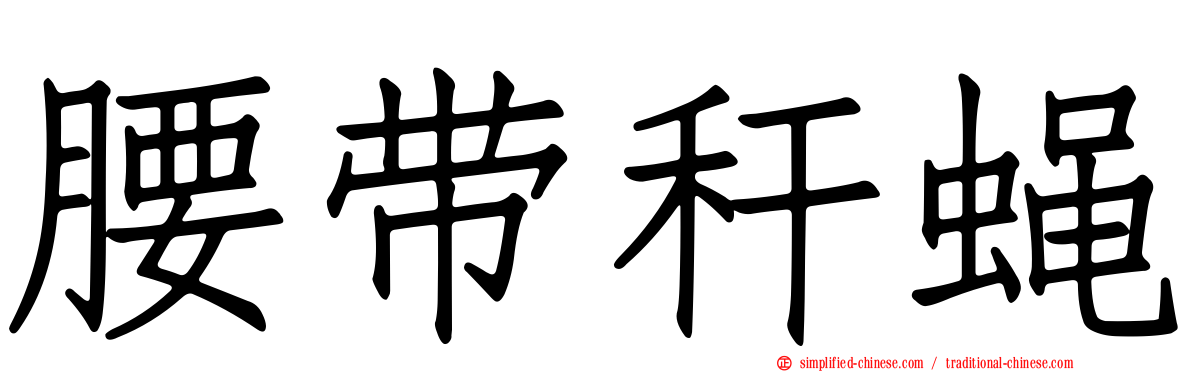腰带秆蝇
