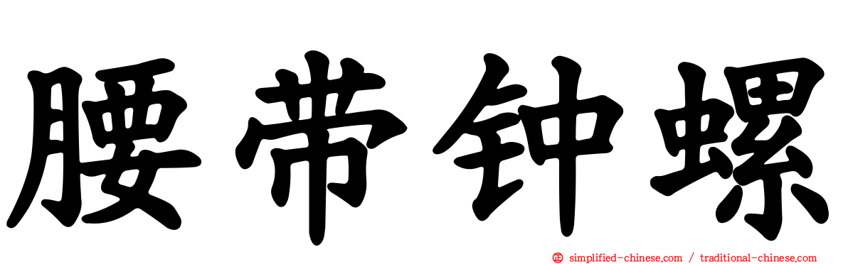 腰带钟螺