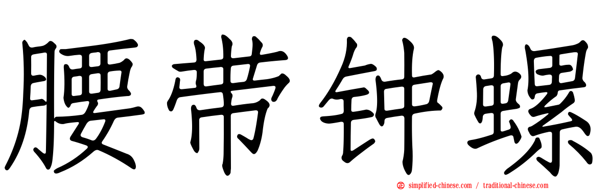 腰带钟螺