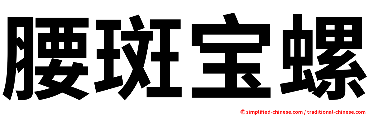 腰斑宝螺