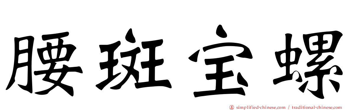 腰斑宝螺