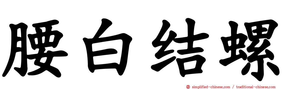 腰白结螺