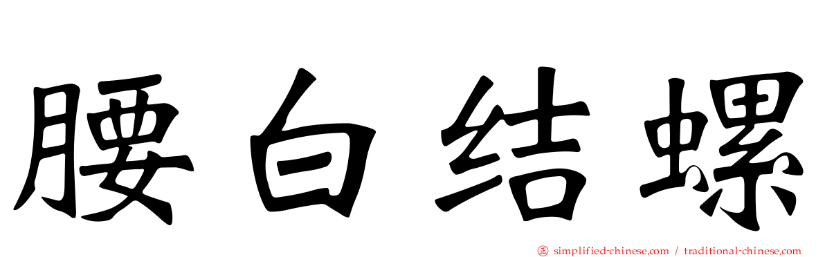腰白结螺