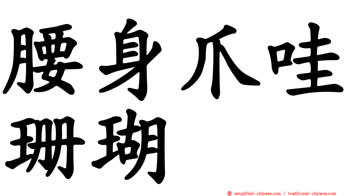 腰身爪哇珊瑚