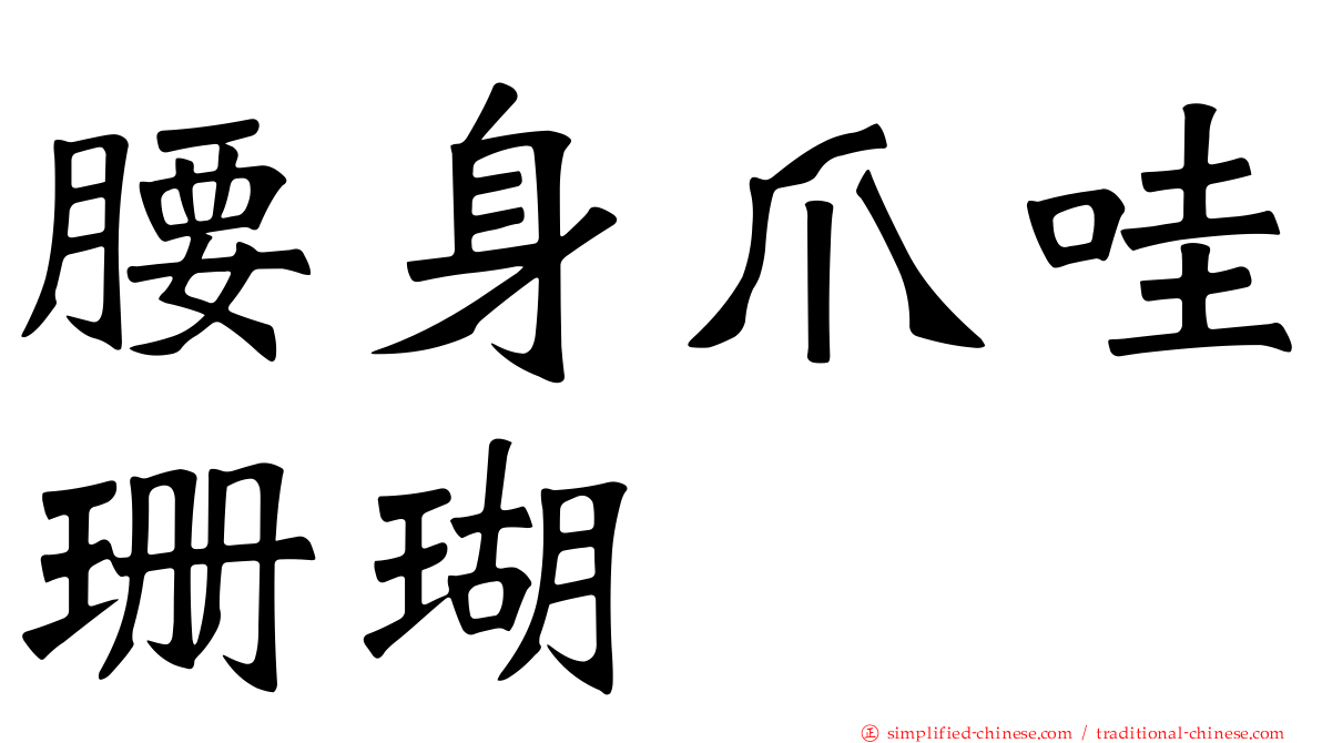 腰身爪哇珊瑚