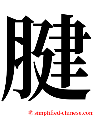 腱 serif font