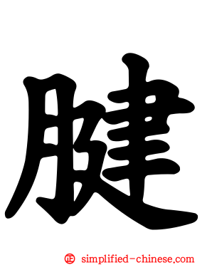 腱