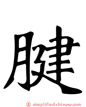 腱