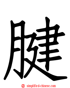 腱