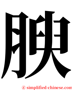腴 serif font