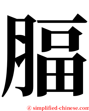 腷 serif font