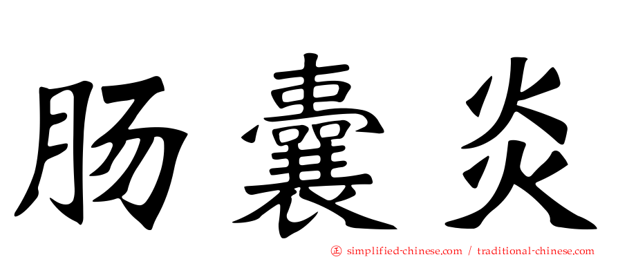 肠囊炎