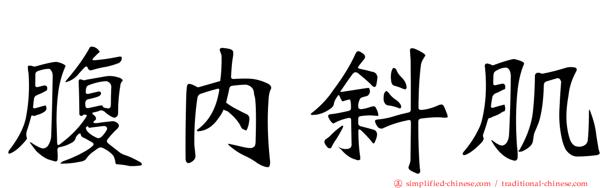 腹内斜肌