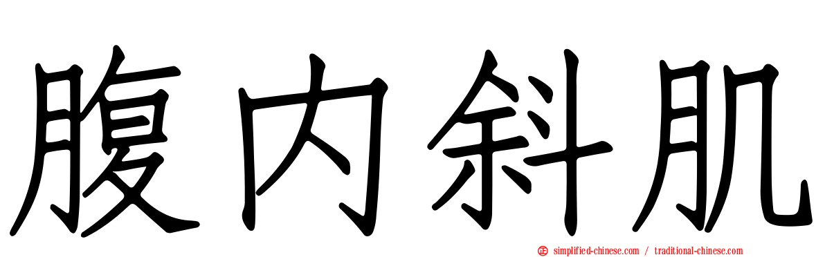 腹内斜肌