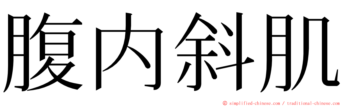 腹内斜肌 ming font